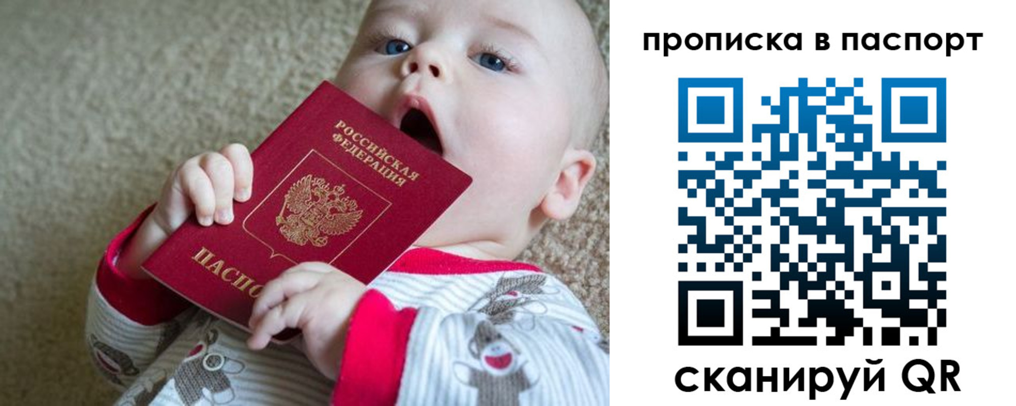 купить прописку в Елизово